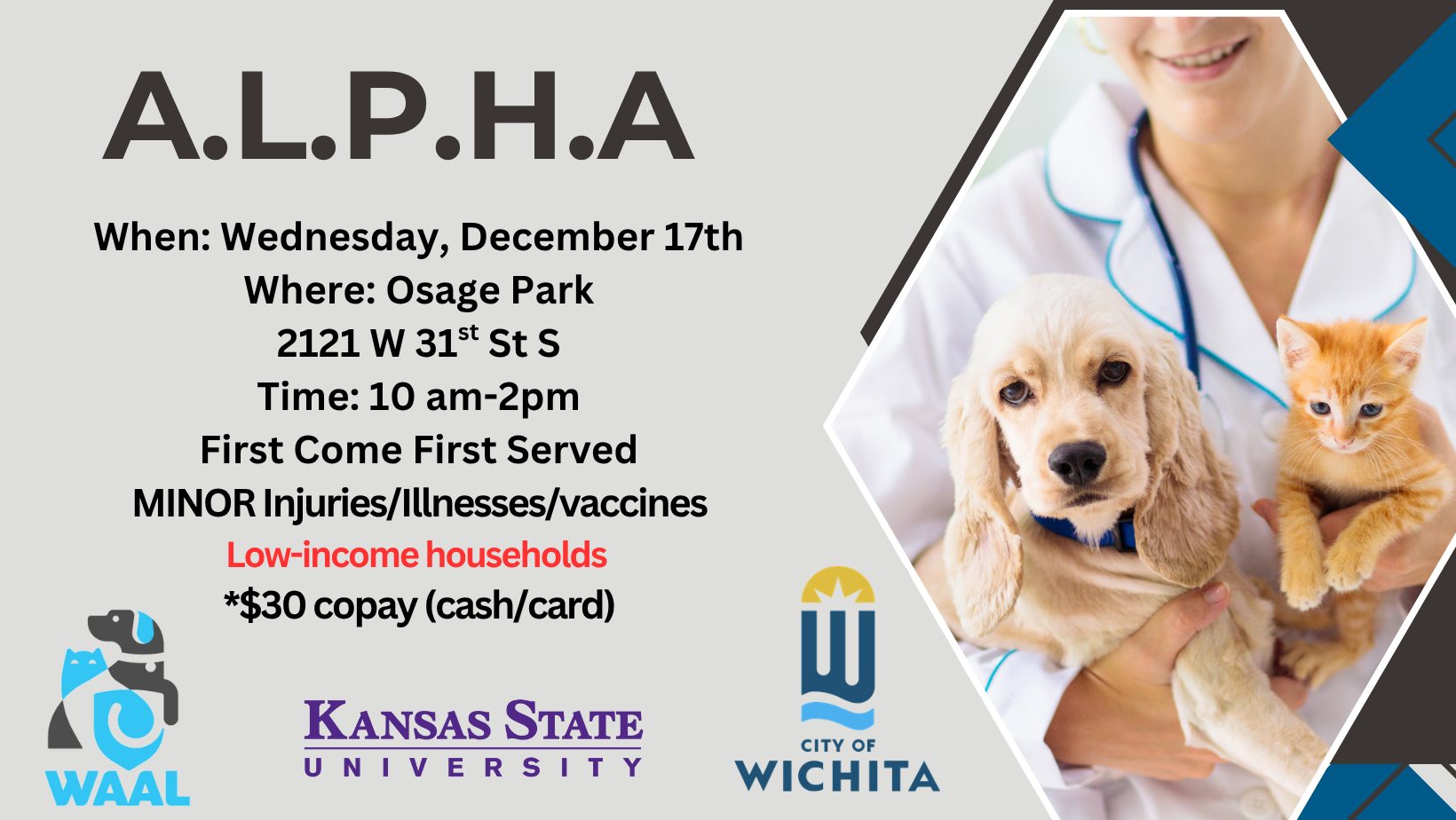 ALPHA clinic flyer