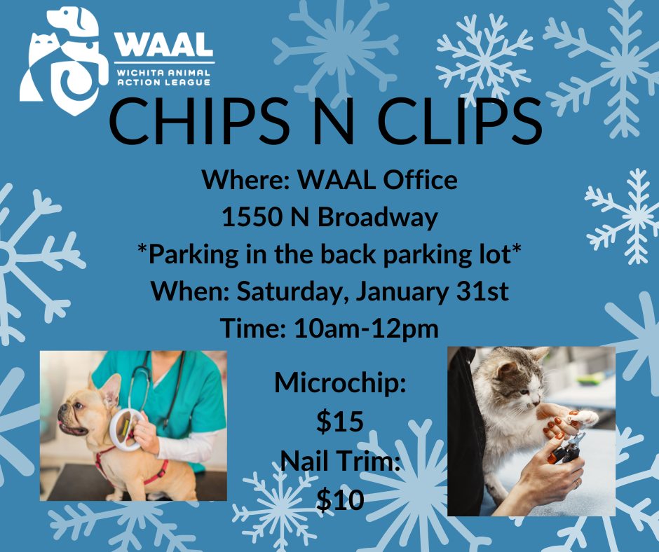 chips n clips flyer