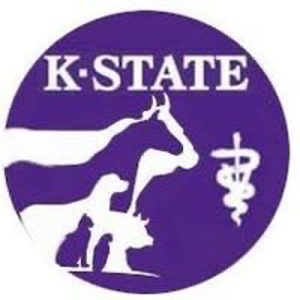 K-State